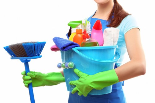 Reviewing service details during a carpet cleaning complaint