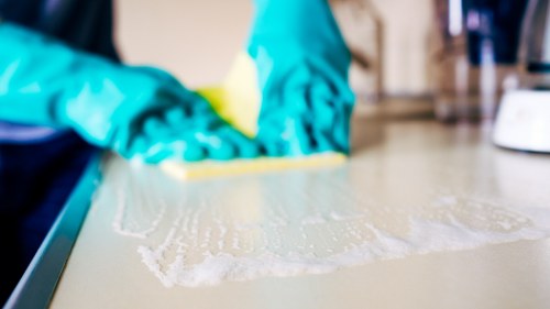 Commercial oven cleaning service for a Hackney kitchen appliance