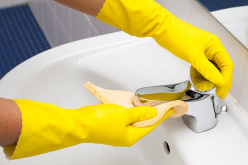 Professional carpet cleaning equipment removing dirt from fibres
