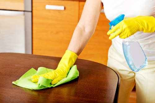 Deep cleaning upholstery in a Hackney home interior